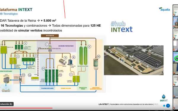 Webinar y Masterclass