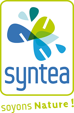 Logo Syntea